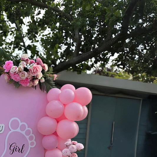 Luxury Boy or Girl Gender Reveal Decoration