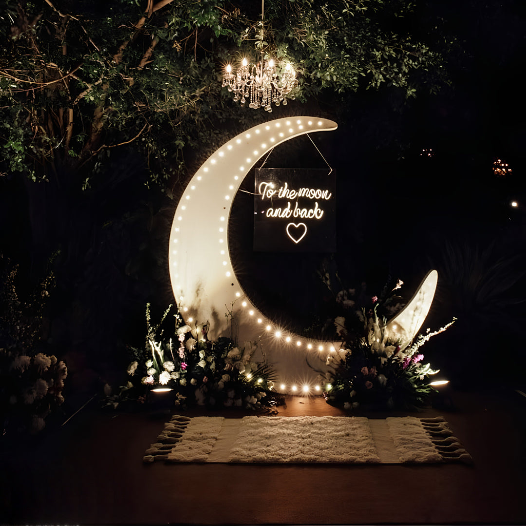 The Moon Proposal Setup